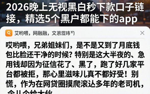 2026晚上无视黑白秒下款口子链接,精选5个黑户都能下的app