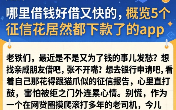 哪里借钱好借又快的，概览5个征信花居然都下款了的app