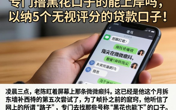 专门撸黑花口子的能上岸吗,归纳5个无视评分的贷款口子