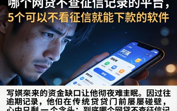 哪个网贷不查征信记录的平台，详细阐述5个可以不看征信就能下款的软件