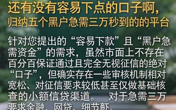 还有没有容易下点的口子啊，归纳五个黑户急需三万秒到的的平台