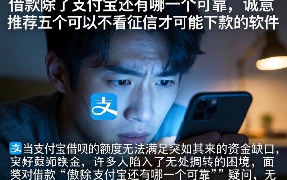 借款除了支付宝还有哪一个可靠,诚意推荐五个可以不看征信就能下款的软件