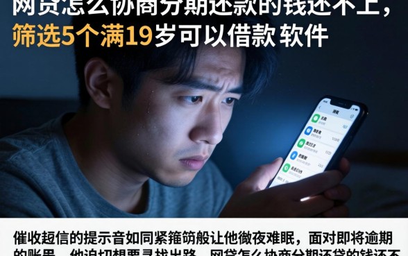 网贷怎么协商分期还款的钱还不上，筛选5个满19岁可以借款的软件