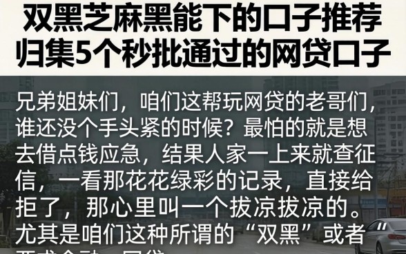 双黑芝麻黑能下的口子推荐，归集5个秒批通过的网贷口子