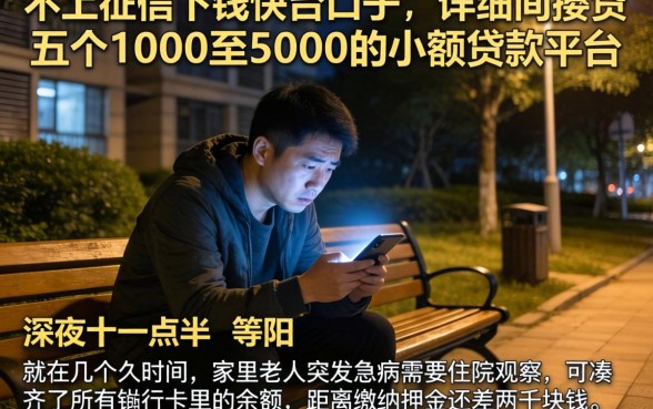 不上征信下钱快的口子，详细阐述五个1000至5000的小额贷款平台