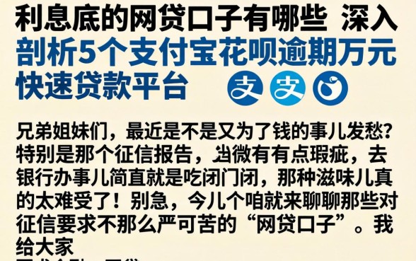 利息底的网贷口子有哪些,深入剖析5个支付宝花呗逾期万元快速贷款平台