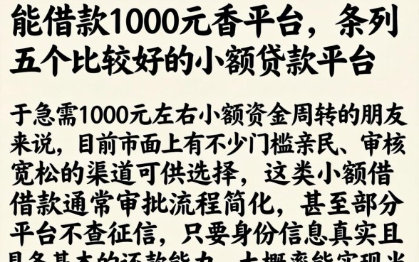 能借款1000元的平台，条列五个比较好的小额贷款平台