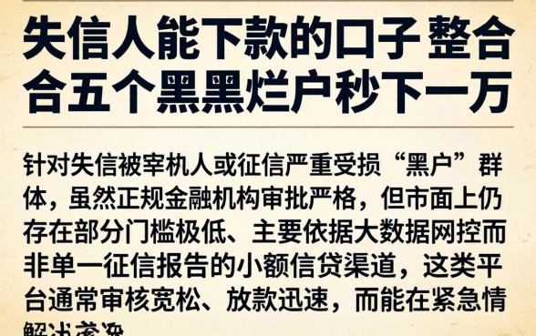 失信人能下款的口子,整合五个黑户烂户秒下一万