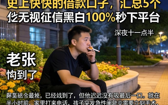 史上快快的借款口子，汇总5个无视征信黑白100%秒下平台