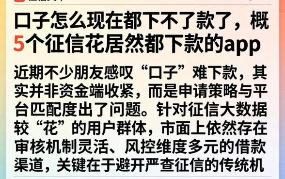 口子怎么现在都下不了款了,概括5个征信花居然都下款的app