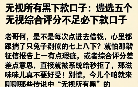无视所有黑下款的口子，遴选五个无视综合评分不足必下款口子