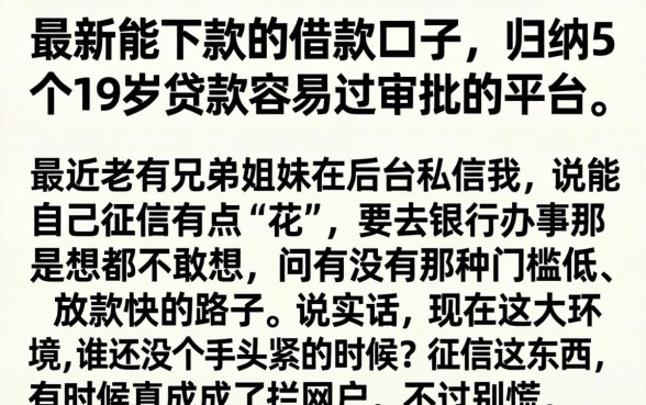 最新能下款的借款口子，归纳5个19岁贷款容易过审批的平台