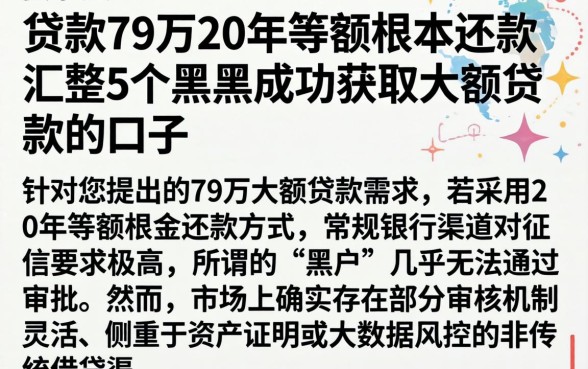 贷款79万20年等额本金还款,汇整5个黑户成功获取大额贷款的口子