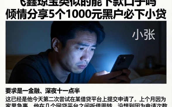 和飞鑫琼宝类似的能下款的口子吗，倾情分享5个1000元黑户必下小贷