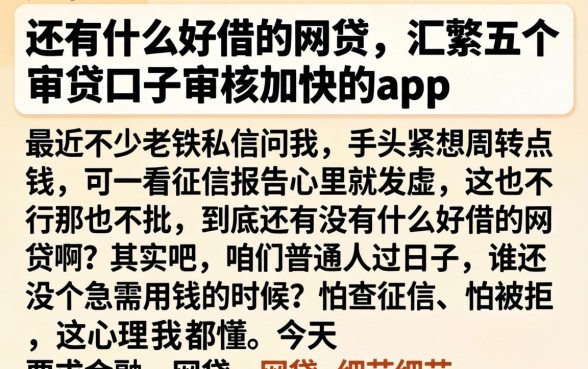 还有什么好借的网贷，汇整五个审贷口子审核加快的app