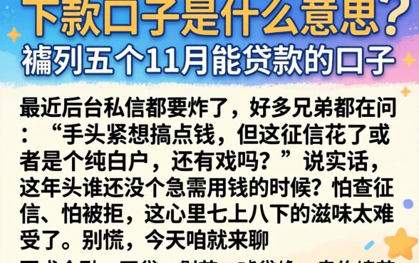 下款口子是什么意思，胪列五个11月能贷款的口子
