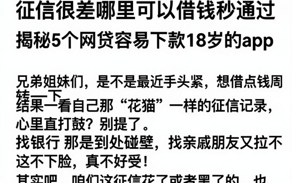 征信很差哪里可以借钱秒通过，揭秘5个网贷容易下款18岁的app