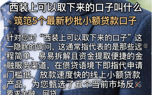 西装上可以取下来的口子叫什么，规整5个最新秒批小额贷款口子