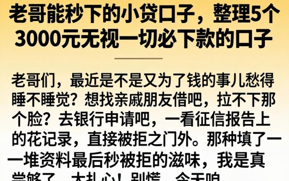 老哥能秒下的小贷口子，整理5个3000元无视一切必下款的口子