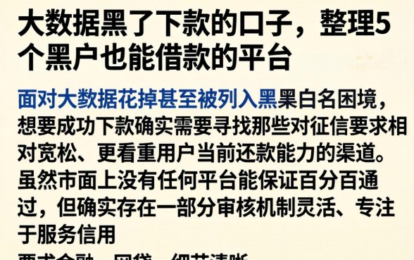 大数据黑了下款的口子，整理5个黑户也能借款的平台