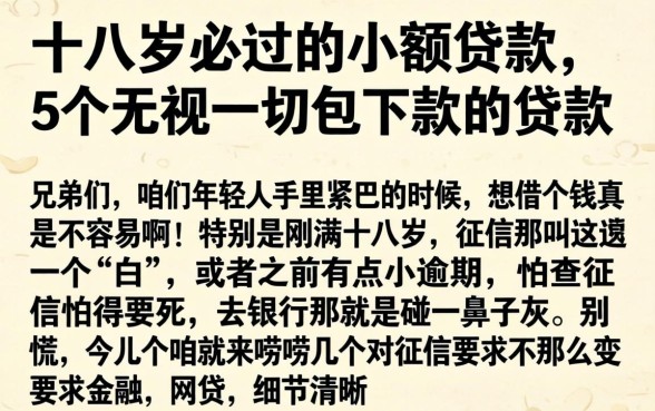 十八岁必过的小额贷款，详细阐述5个无视一切包下款的贷款
