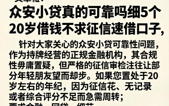众安小贷真的可靠吗,细致阐述5个20岁借钱不求征信速借口子