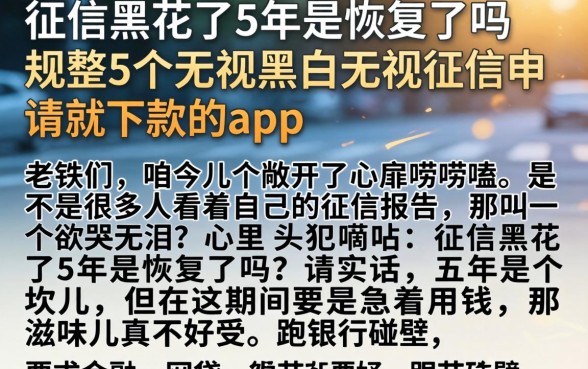征信黑花了5年是恢复了吗,规整5个无视黑白无视征信申请就下款的app