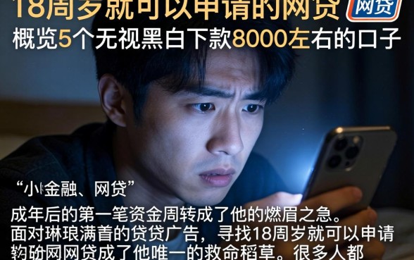18周岁就可以申请的网贷，概览5个无视黑白下款8000左右的口子