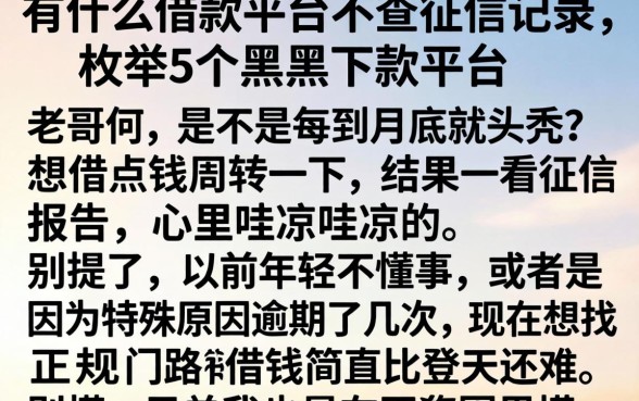 有什么借款平台不查征信记录，枚举5个黑户下款平台