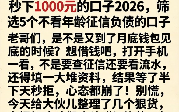 秒下1000元的口子2026，筛选5个不看年龄征信负债的口子