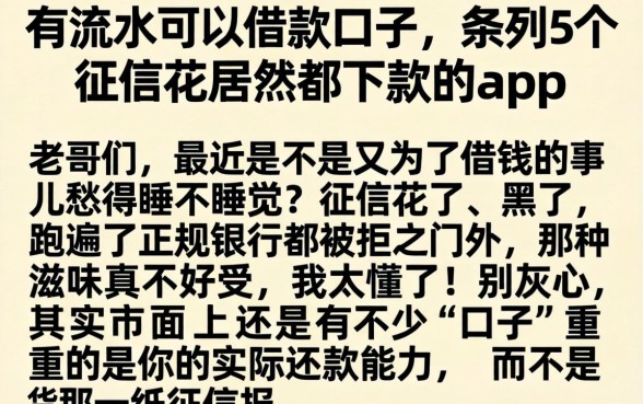 有流水可以借款口子，条列5个征信花居然都下款的app