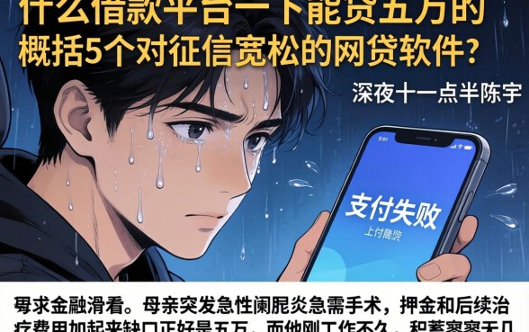 什么借款平台一下能贷五万的，概括5个对征信宽松的网贷软件