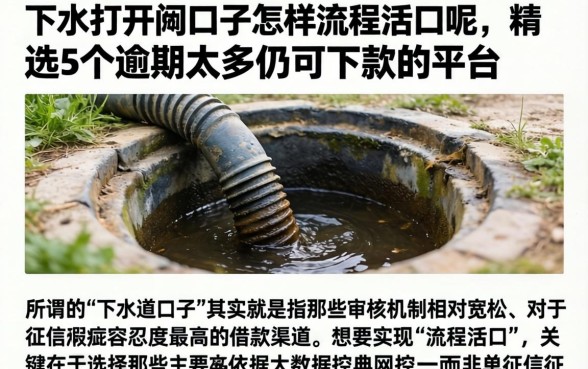 下水道打开的口子怎样流程活口呢，精选5个逾期太多仍可下款的平台