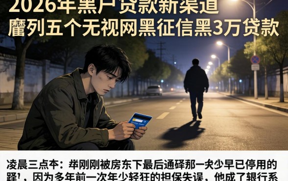 2026年黑户贷款新渠道，胪列五个无视网黑征信黑3万贷款