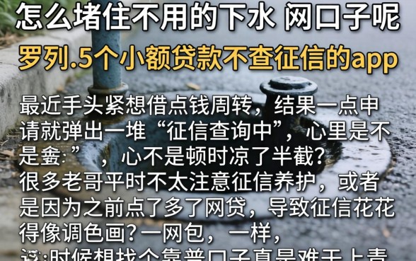 怎么堵住不用的下水井口子呢，罗列5个小额贷款不查征信的app