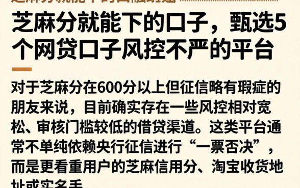 芝麻分就能下的口子,甄选5个网贷口子风控不严的平台