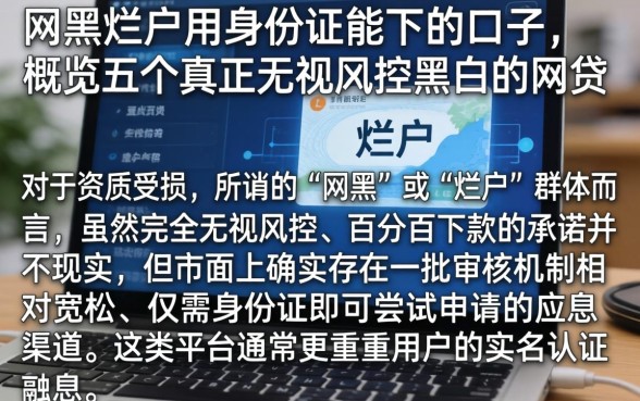 网黑烂户用身份证能下的口子,概览五个真正无视风控黑白的网贷