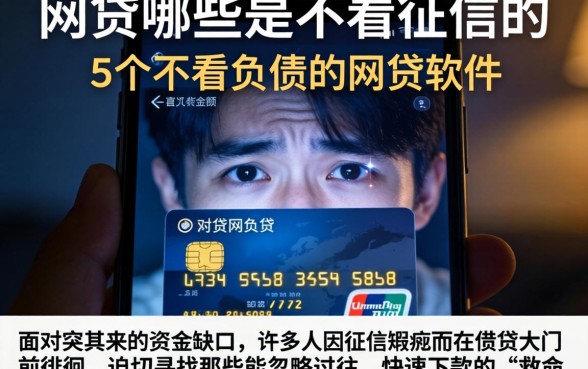 网贷哪些是不看征信的,概括5个不看负债的网贷软件