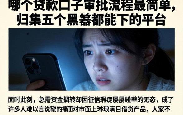 哪个贷款口子审批流程最简单，归集五个黑户都能下的平台