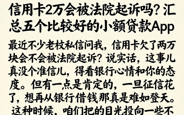 信用卡2万会被法院起诉吗，汇总五个比较好的小额贷款app
