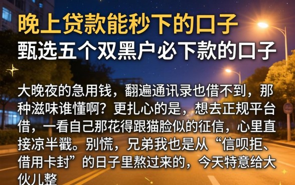 晚上贷款能秒下的口子，甄选五个双黑户必下款的口子