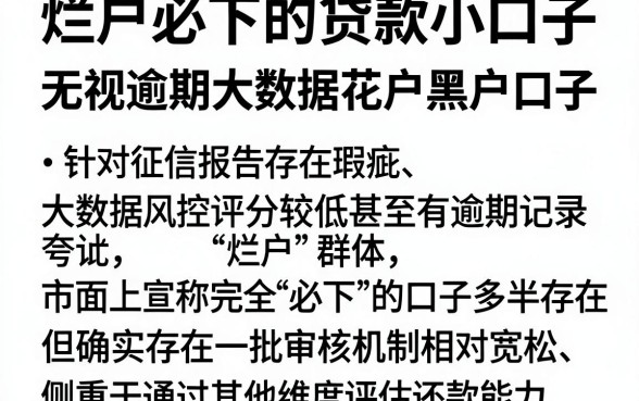 烂户必下的贷款小口子,深入剖析五个无视逾期大数据花户黑户口子