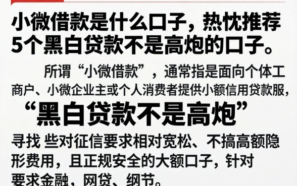 小微借款是什么口子，热忱推荐5个黑白贷款不是高炮的口子