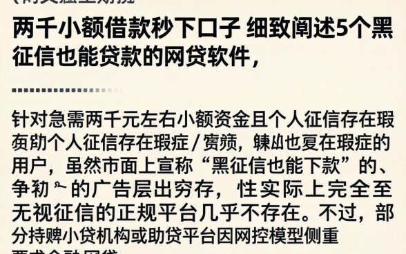 两千小额借款秒下口子,细致阐述5个黑征信也能贷款的网贷软件