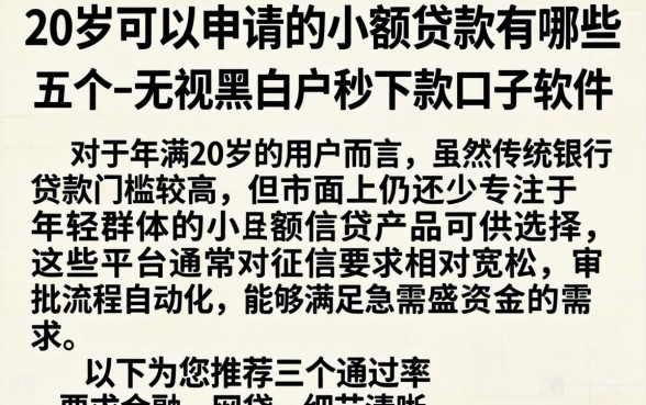 20岁可以申请的小额贷款有哪些，条列五个无视黑白户秒下款口子软件