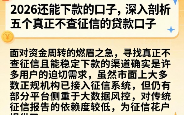 2026还能下款的口子，深入剖析五个真正不查征信的贷款口子