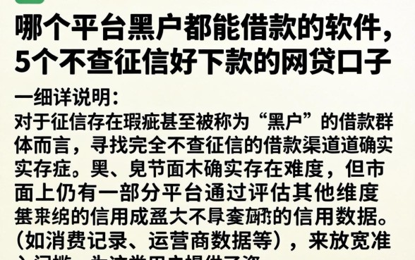 哪个平台黑户都能借款的软件，详尽说明5个不查征信好下款的网贷口子