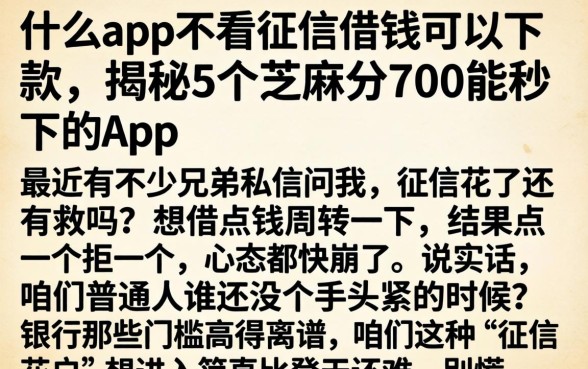 什么app不看征信借钱可以下款，揭秘5个芝麻分700能秒下的app