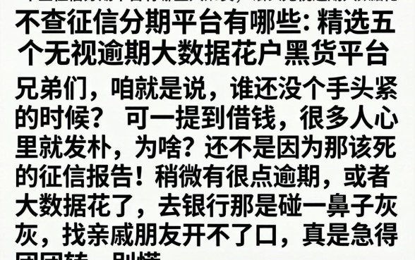 不查征信分期平台有哪些，精选五个无视逾期大数据花户黑户平台