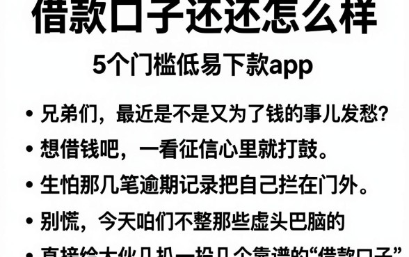 借款口子还还怎么样,整理5个门槛低易下款app
